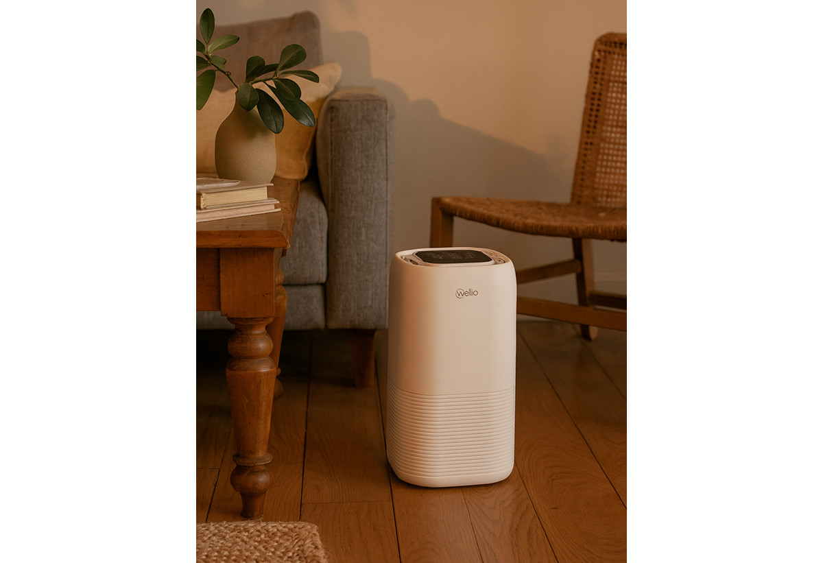 απεικονίζεται ο Καθαριστής Αέρα σε σαλόνι